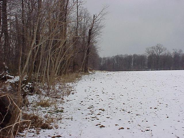 Site of 40 North 76 West, looking northeast along the treeline.