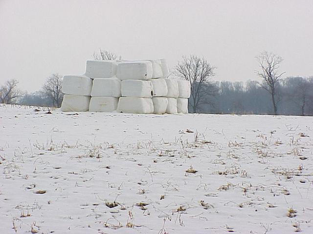 Looking southeast from the confluence at the field and covered hay bales.