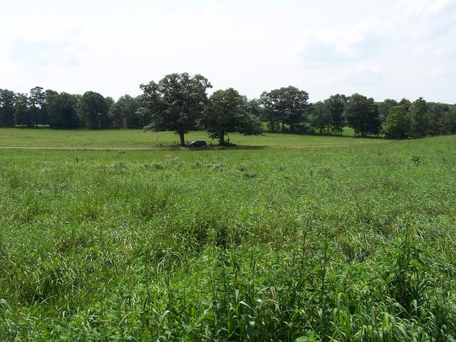 View Southwest from the edge of the corn field.