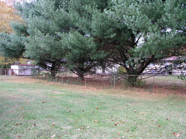 Viewed from ten feet away, a chain link fence and a row of evergreens to the north form a backdrop for 36N 084W.
