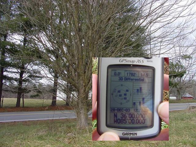 The GPS unit showed 10 zeroes within reach of the CP "marker tree."