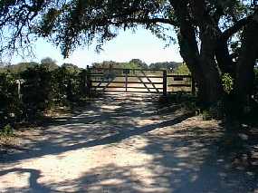 #1: Looking south toward the confluence from the H-O ranch gate