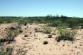 #3: East towards the Pecos River