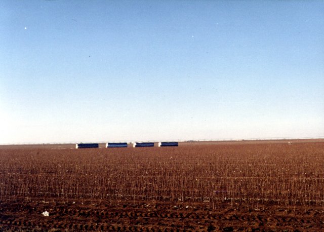The cotton field containing 34N/102W.
