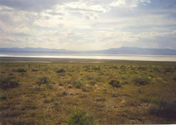 Looking west to the Sevier Lake bed