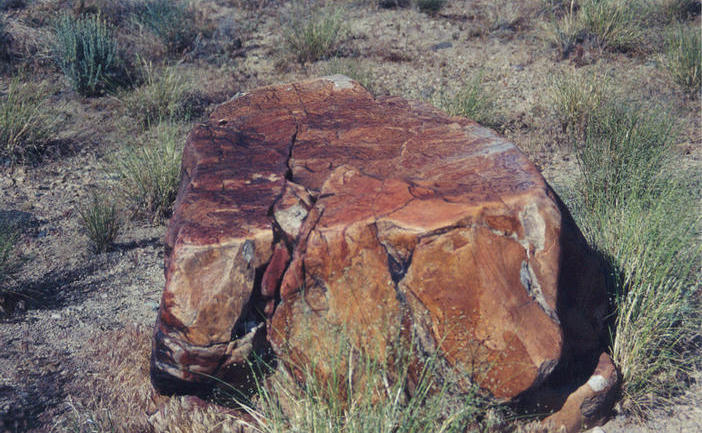 This boulder with its natural varnish is beside the road at the spot nearest the confluence point.