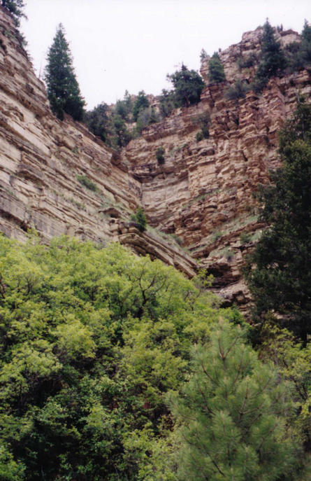 Interesting Geology in Timber Canyon