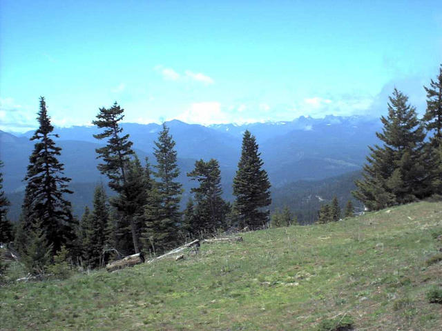 View to west from confluence, Mount Rainier in center
