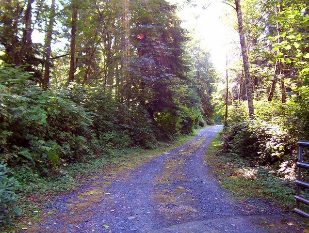 View to the east up the driveway toward the confluence.