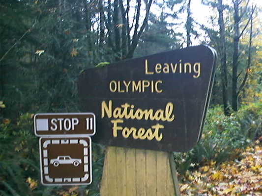 Road sign at Olympic National Forest boundary