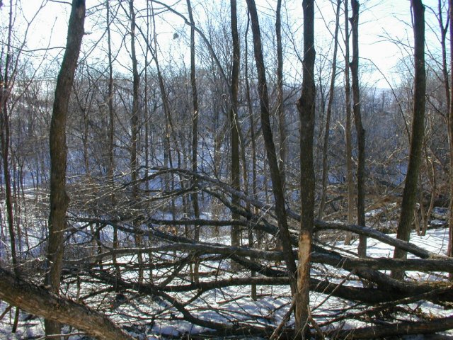 The view west shows the ravine as it meanders left to right toward the Wisconsin River