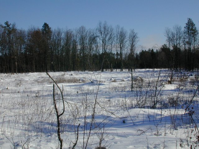 Looking east.  Trees of the nearby wooded area on the right (south) cast their long winter shadows.
