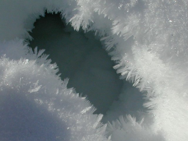 Feathery ice crystals grow inwards from the sides of a hole left by a passing deer.