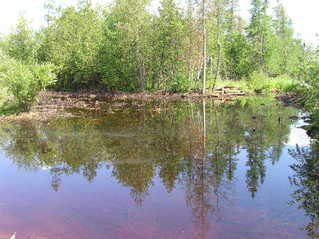 #1: The confluence point lies on the left side of this bog.  Good luck reaching the precise point in summertime!