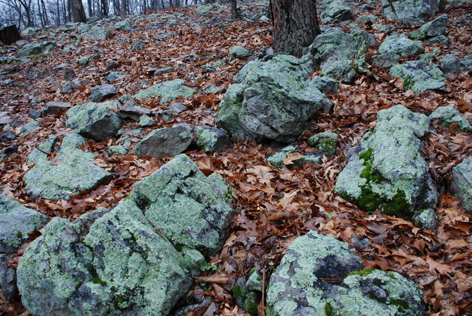 Green rocks near the confluence point
