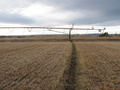 #8: The furrow where the irrigation system runs