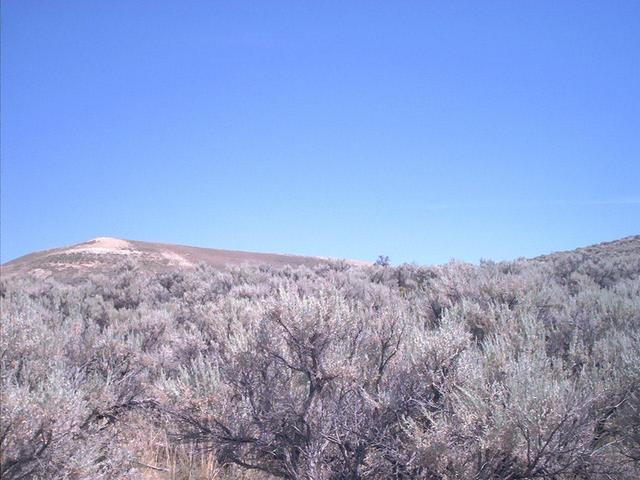 The sagebrush I got stuck in. The confluence is 3 km away over that ridge.