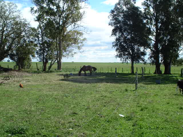 The confluence seen from the hacienda, it is in the direction of the horse