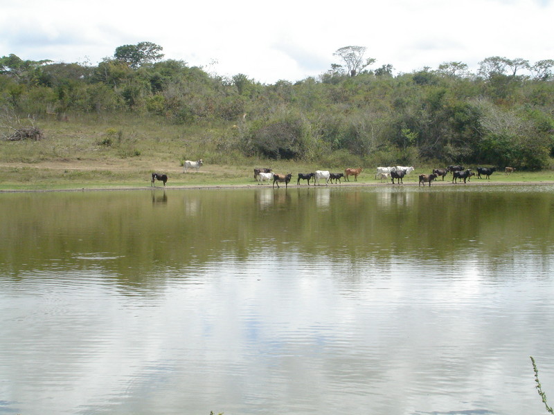 ONE OF THE LAGOON INSIDE THE RANCH