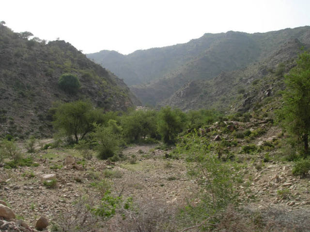 The terrain surrounding the wādiy
