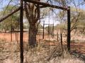 #7: Game fencing west of the Confluence