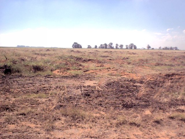 West from the site
