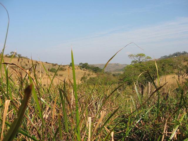 View to the South - towards Game Reserve on distant hills.
