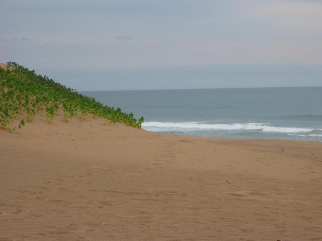 View East to Confluence from Mtunzini Beach