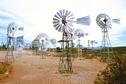 #8: Windmill collection in Museum yard