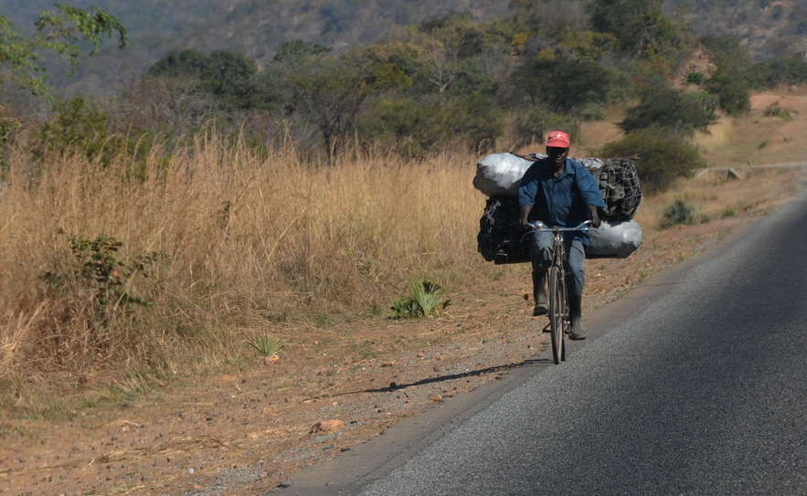 A common sight on the highway - transporting charcoal with bicycle