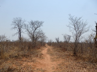 #1: Road towards the Confluence at 9.3 km distance