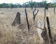 #7: Rock slivers used as fence posts