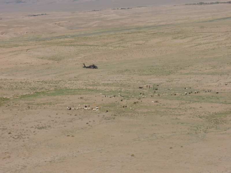 Sheep herder passing by. Picture facing east.