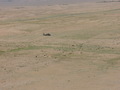 #3: Sheep herder passing by. Picture facing east.