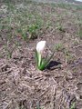 #7: Spring is here