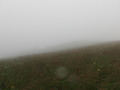 #4: Southward foggy