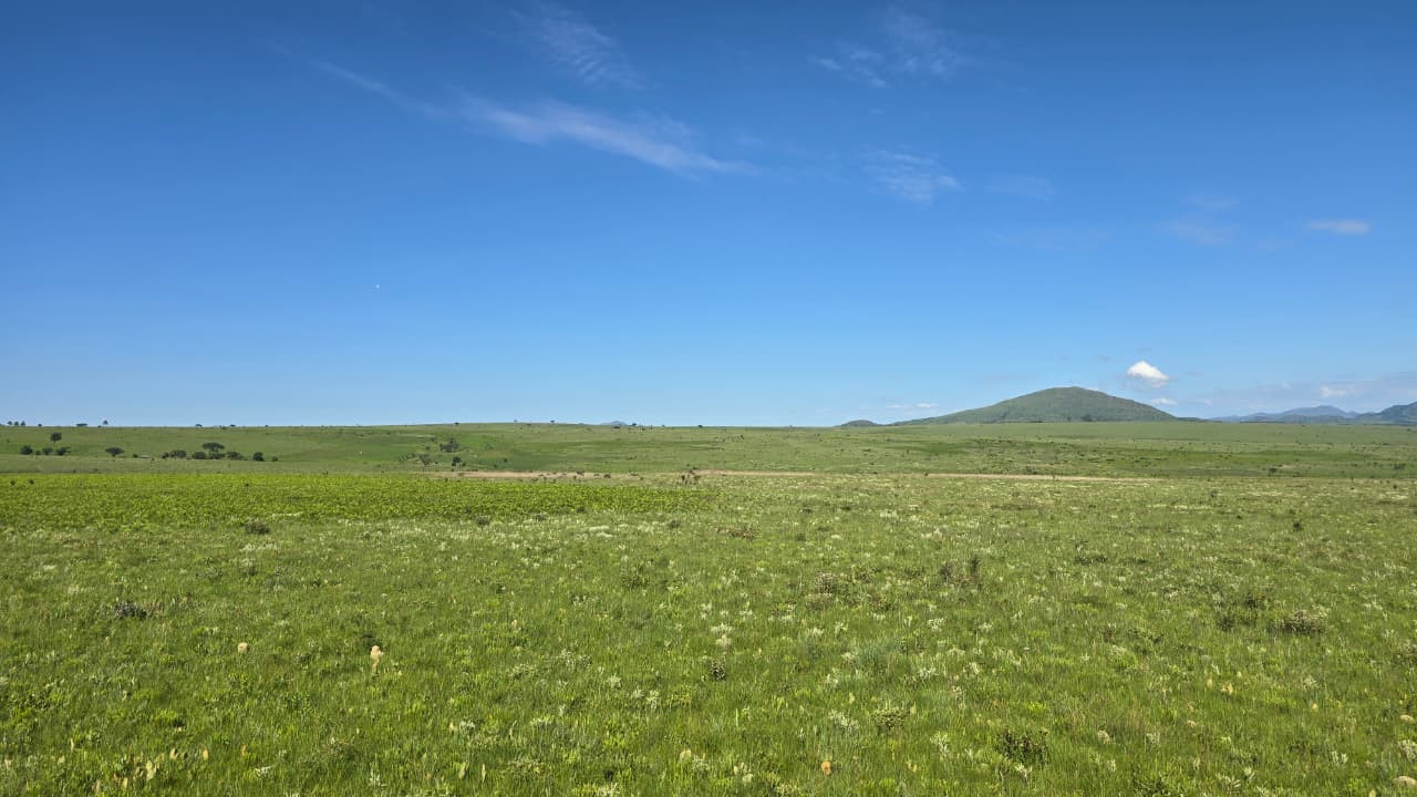 Vista Oeste - View West