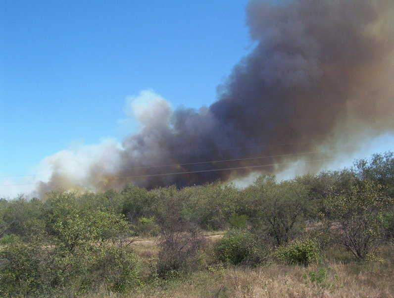 Incendio de montes sobre la ruta 81. Field fire on road 81