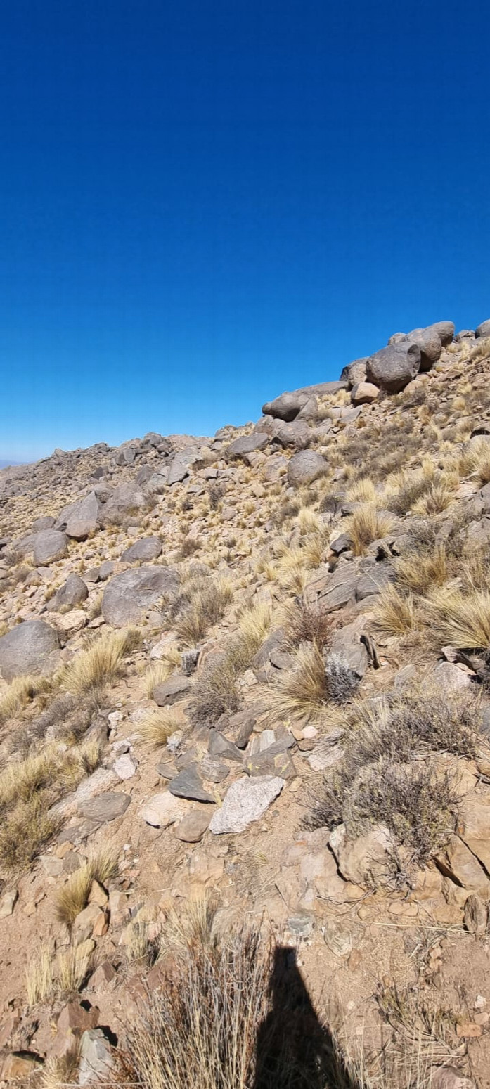  View from confluence 27S67W towards South