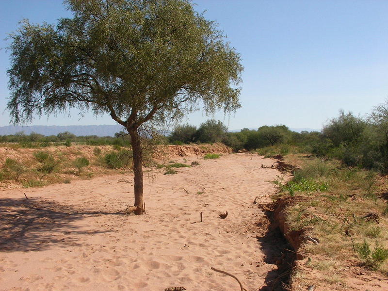 Río con su cauce seco. Dry river bed