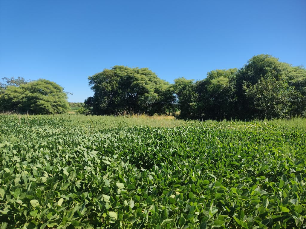 Visão oeste - west view - vista oeste