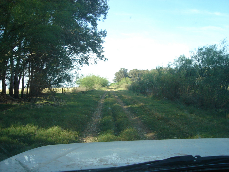 Caminitos rurales para llegar a la confluencia - Rural paths to aproach to the confluence