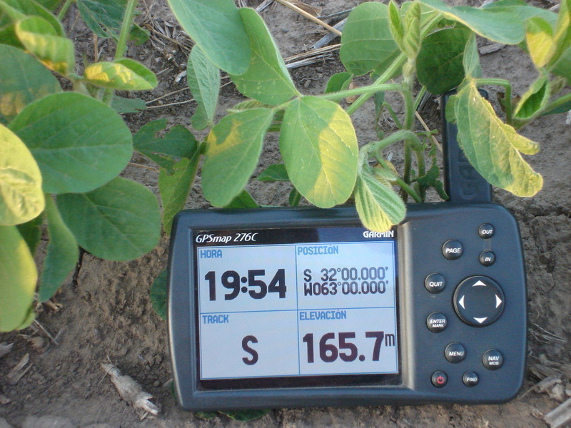 Evidencia GPS entre la soja - GPS evidence among soybeam