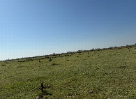 #4: Vista al Norte> North view