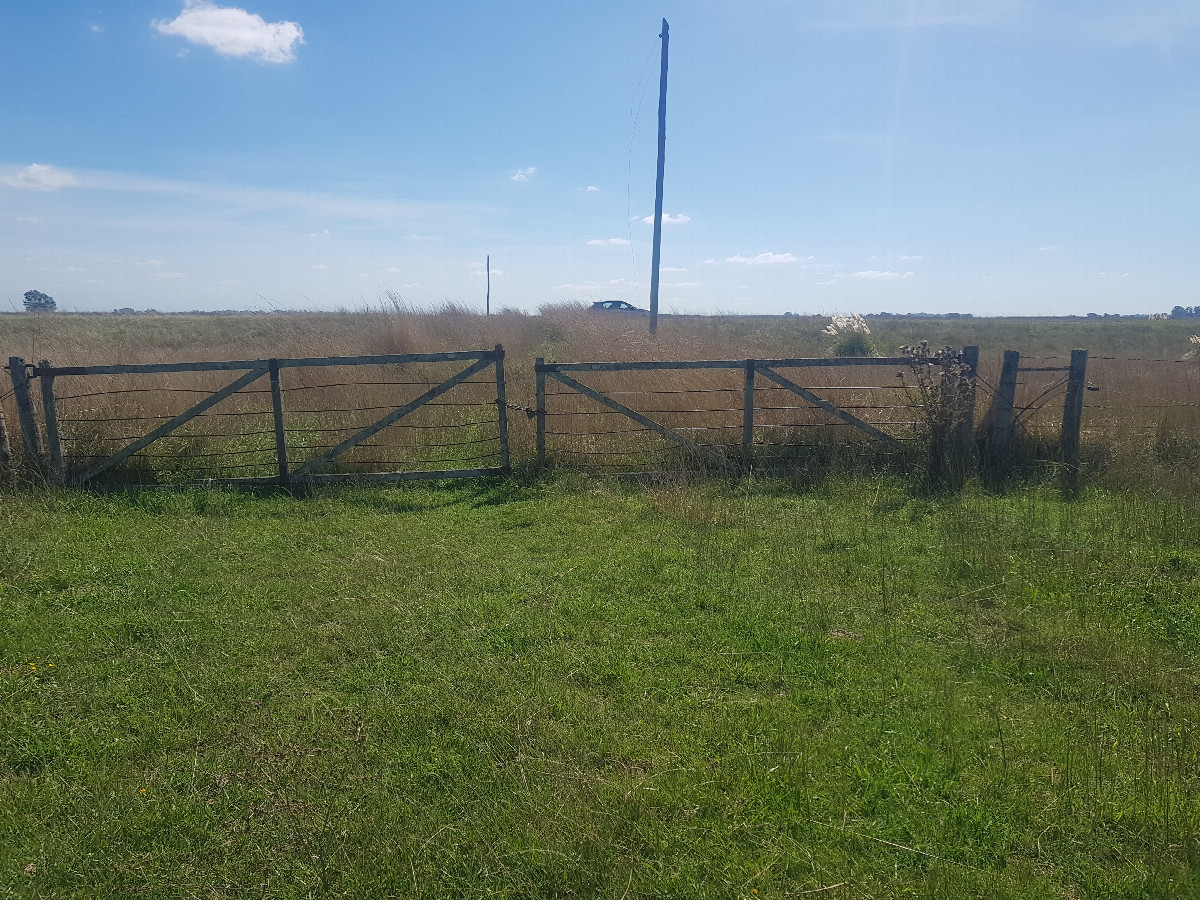 Gate