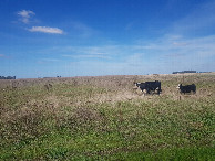#4: South view