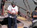 #8: repairing fishing nets on the "Siempre Amabile"