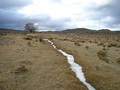 #8: Paisaje congelado - Frozen landscape