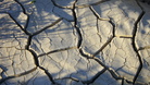 #8: Tierra reseca - Dried soil