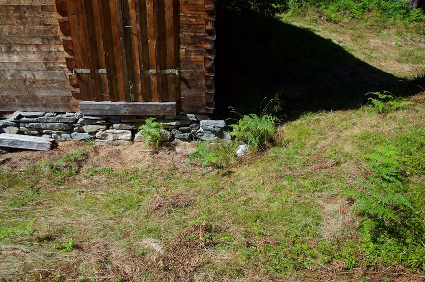 The confluence point lies near the corner of a shed, in a clearing near an alpine holiday home